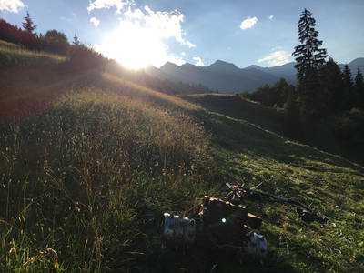 Bild 163 aus  Bio-Bauernhof Schweizerhof