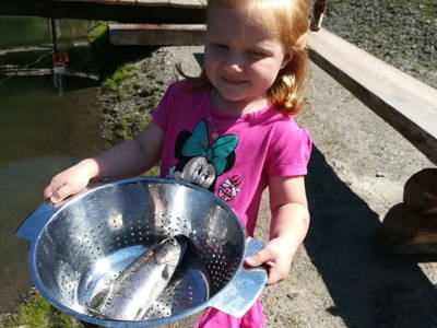 Bild 79 aus  Almchalet Nikola