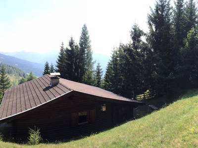 Bild 28 aus  Almferienhaus Truskaller