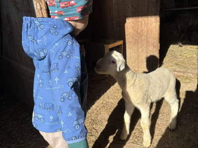 Bild 18 aus  Mörthandrä Hütte 