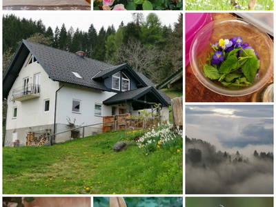 Bild 2 aus  Auszeithof Drion