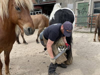Der Hufschmied zu Besuch
