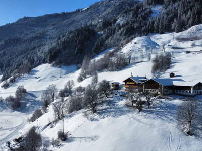 Bild 62 aus  Reitbauernhof