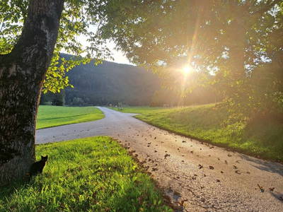 Bild 12 aus  Graglerhof