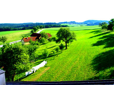 Bild 7 aus Blumentalhof