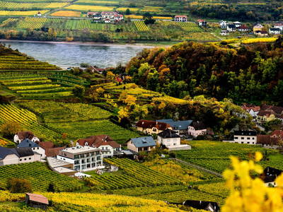 Bild 16 aus  Weingut STRAWANZER Donabaum