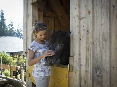 Bild 25 aus  Biobauernhof Fleckl Brixental Tirol