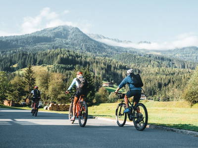 Bild 128 aus  Enzianhütte im Habachtal