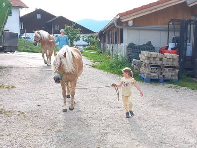 Bild 30 aus  Fuchsbauernhof