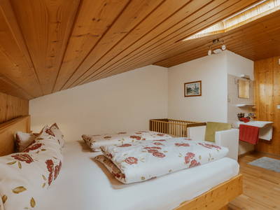 Bild 29 aus  Berghof Latzer