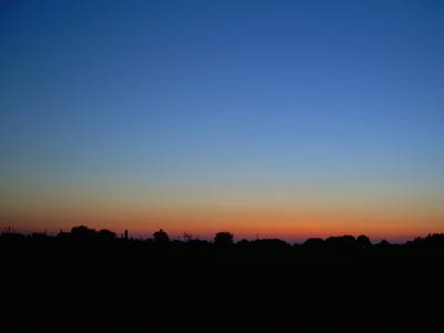 Bild 23 aus  Lindenhof