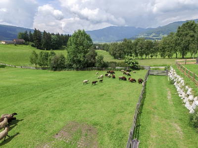 Bild 68 aus  Örglwirt's Gut in Örglwirt's Ferienwelt