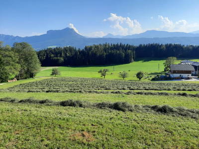 Bild 14 aus  Obergrünwaldgut