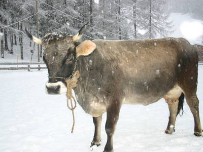 Bild 60 aus  Waldhof