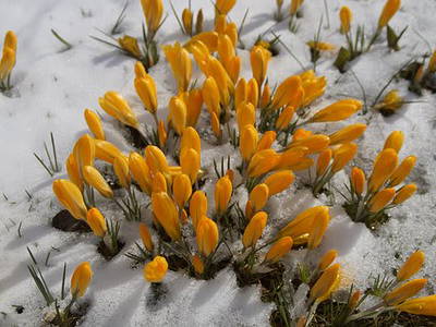 Bild 38 aus  Landhof Pihringer