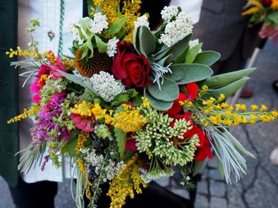 Bild 128 aus  Postl's Hirschbirnhof