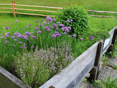 Bild 235 aus  Der Perweinhof