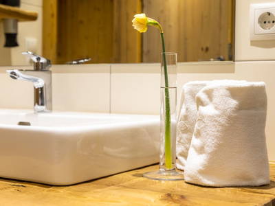 Bild 65 aus  Zauchtalerhof