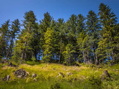 Bild 37 aus  Premhof