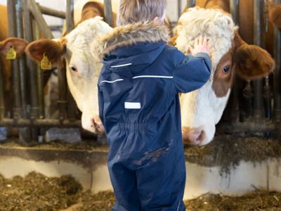 Bild 80 aus  Chalet Steinerner Meerblick
