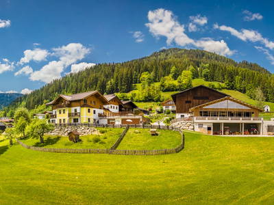 Bild 2 aus  Bio-Bauernhof Unterbichl