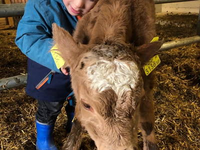 Bild 6 aus  Pirkerhof