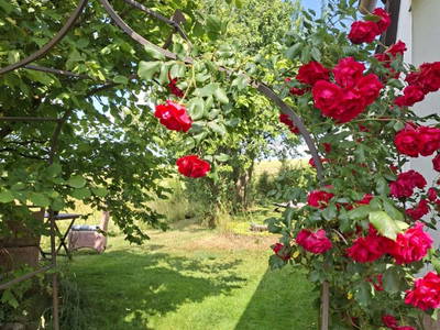 Bild 6 aus  Ferienhaus Plessberg