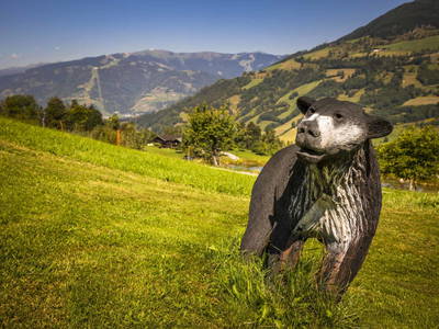 Bild 44 aus  Kohlschnait-Hof