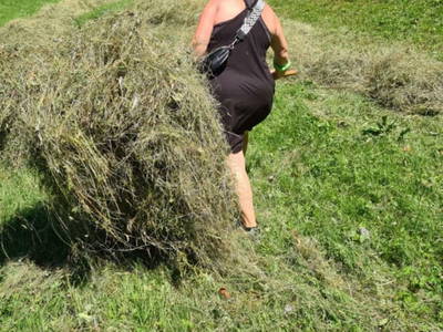 Bild 38 aus  Bauernhof Mangeng