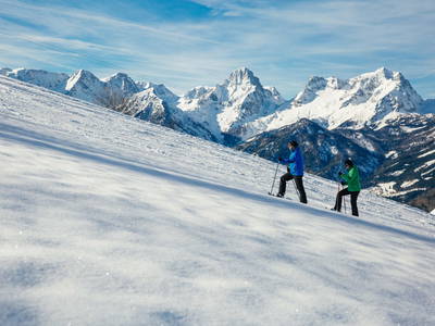 Bild 32 aus TESTHOF Oberösterreich