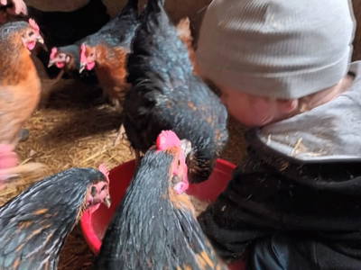 Bild 200 aus  Haus Hagspiel