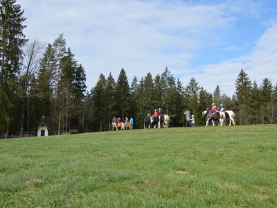 Bild 8 aus  Weidererhof