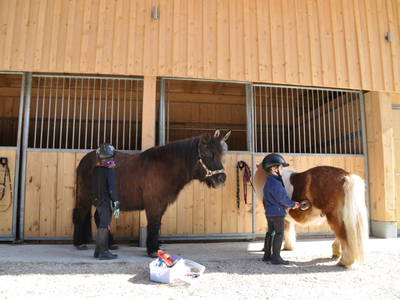 Bild 26 aus  Donauerhof