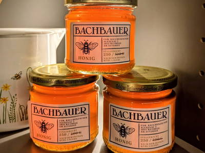 Bild 106 aus   Bachbauer am Attersee