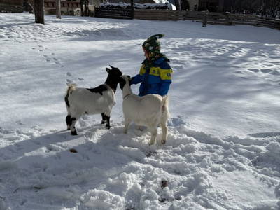 Bild 62 aus  S'Landhäuschen