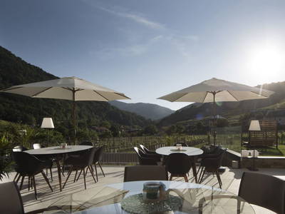 Bild 17 aus  Weingut STRAWANZER Donabaum