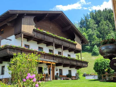 Bild 2 aus  Baby und Kinderbauernhof Happmannhof