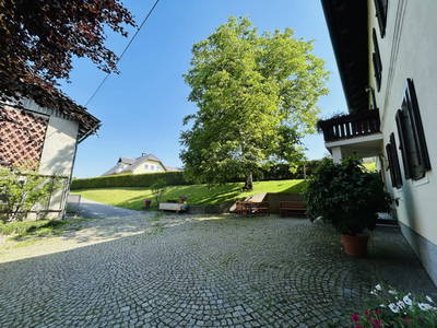 Bild 66 aus  Kollehof