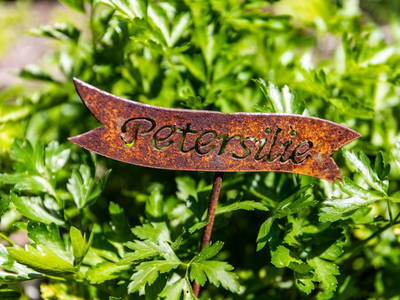 Bild 79 aus  Oberhaslachhof