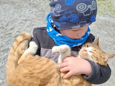 Bild 122 aus  Anderlbauer