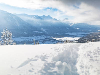 Bild 37 aus  klein Lenzhof