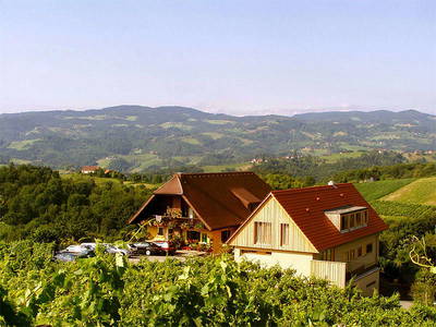 Bild 2 aus  Weinidylle Dreisiebner