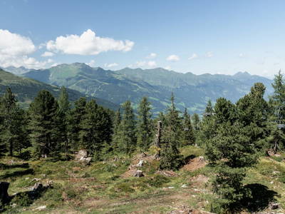 Bild 11 aus  Landhaus Tobhart