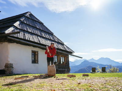 Bild 7 aus  Obiralmhütte Meierhof