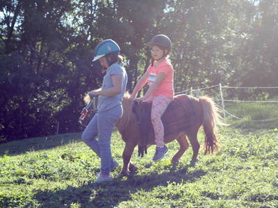 Bild 44 aus  Bio Ferienbauernhof Greber