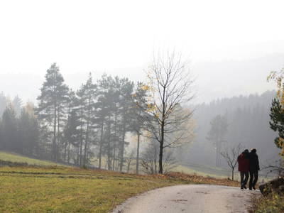 Bild 20 aus  Biohof Besenbäck