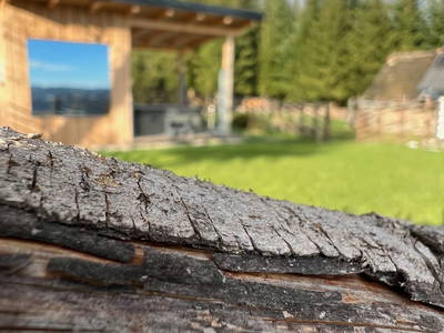 Bild 2 aus  Waldheimat Blick