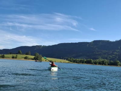 Bild 71 aus  Ferienhof Langwallner Irrsee