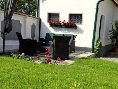 Bild 78 aus Ferienhaus Weinviertel