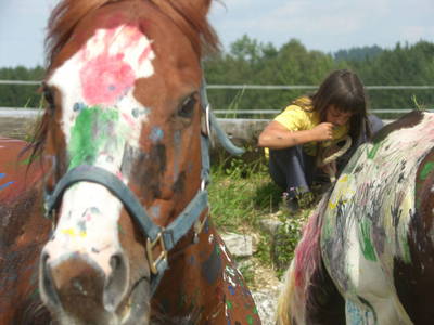 Bild 28 aus  Ferienhof Esterhammer